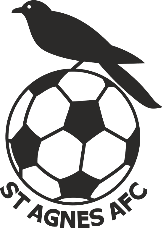 St Agnes AFC