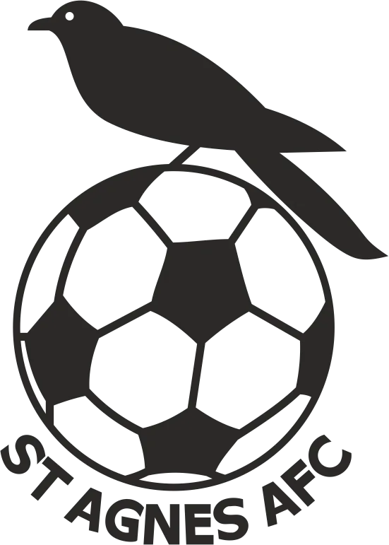 St Agnes AFC